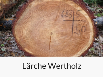 laerche-wertholz