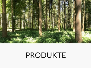 Rundholzhandel Forstunternehmen Produkte